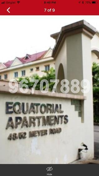 Equatorial Apartments (D15), Apartment #158408772